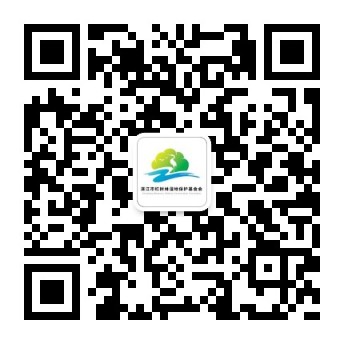 公众号二维码.jpg 公众号二维码.jpg